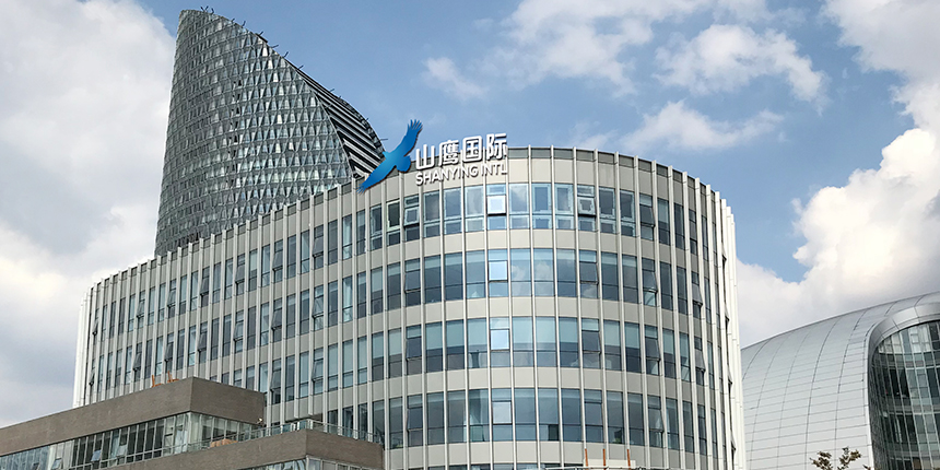 山鷹紙業(yè)（廣東）項目